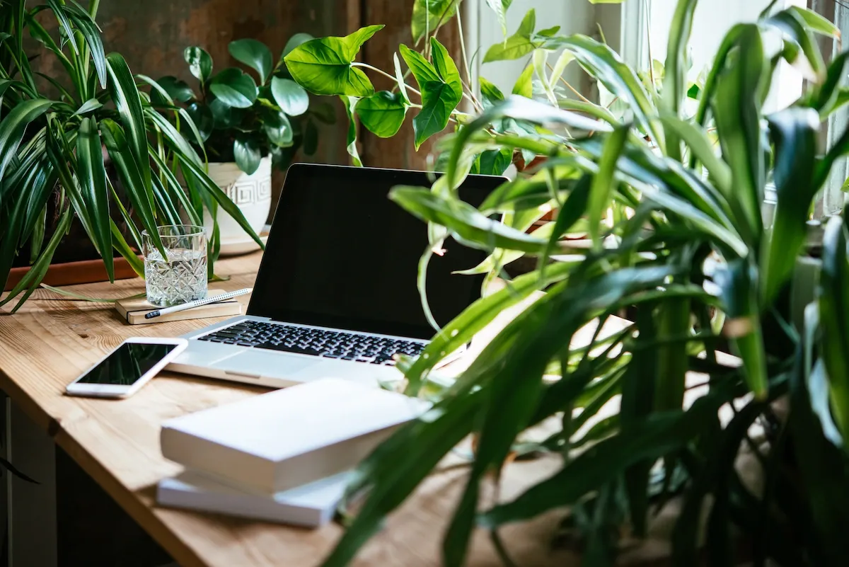 Expense policy faqs.webp
