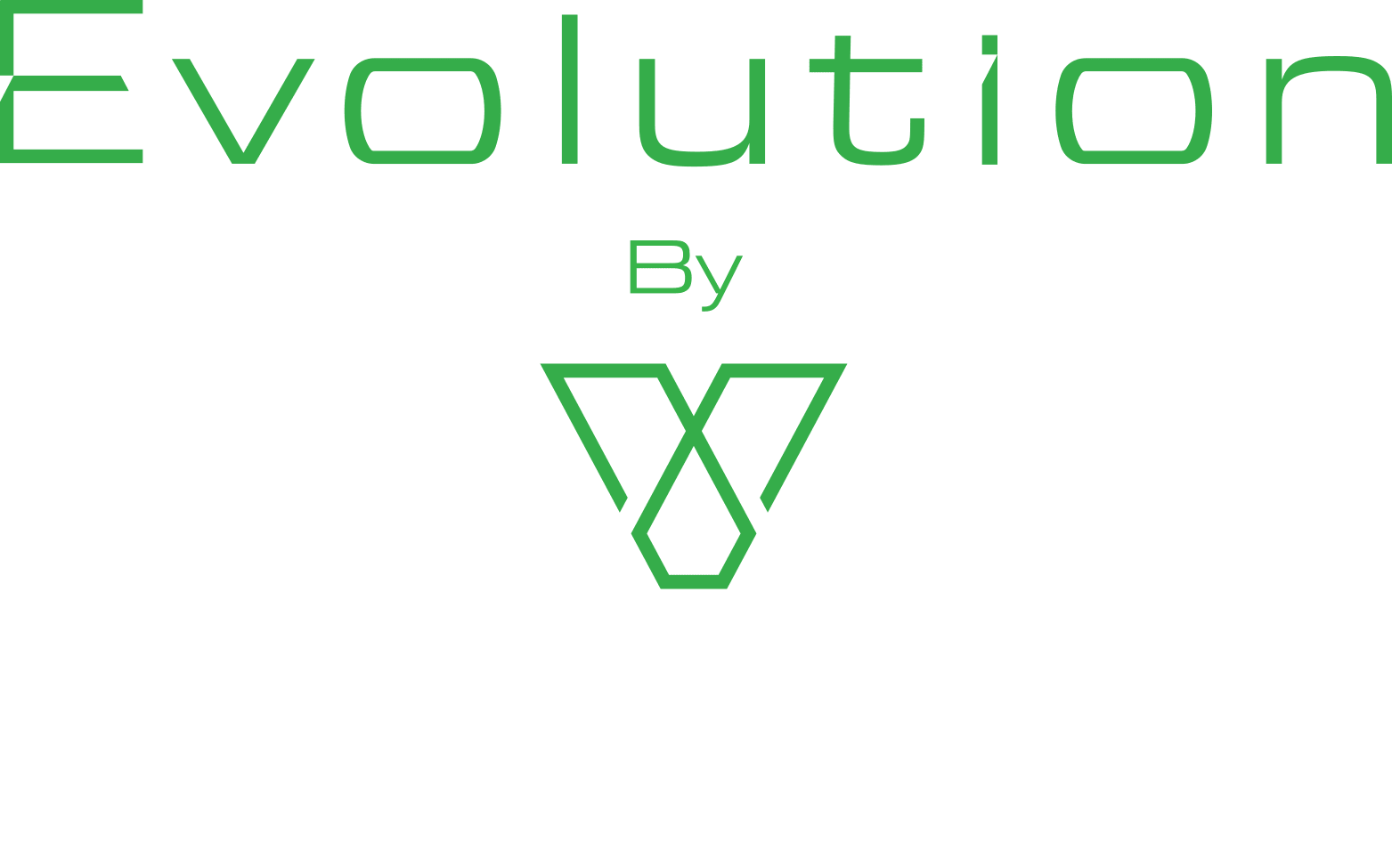 Evolution by Victory Leisure Homes