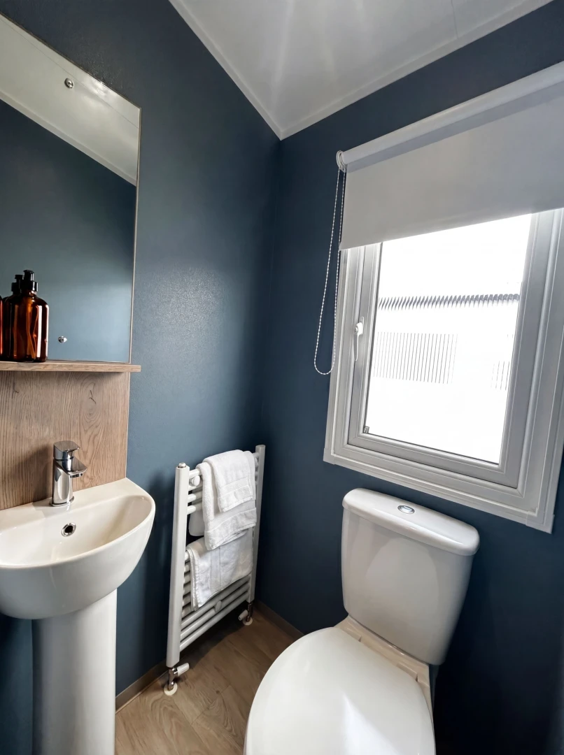 VERVE - TOILET .jpg