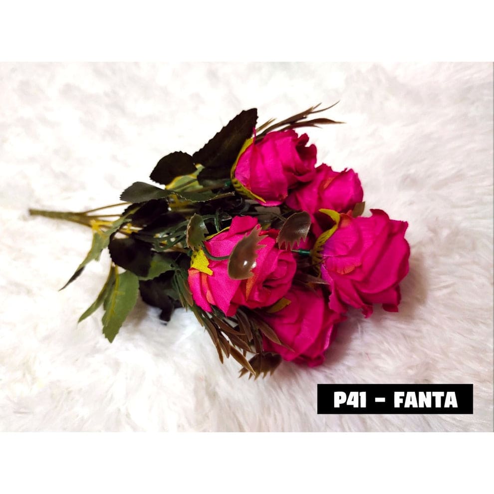 P41 FANTA