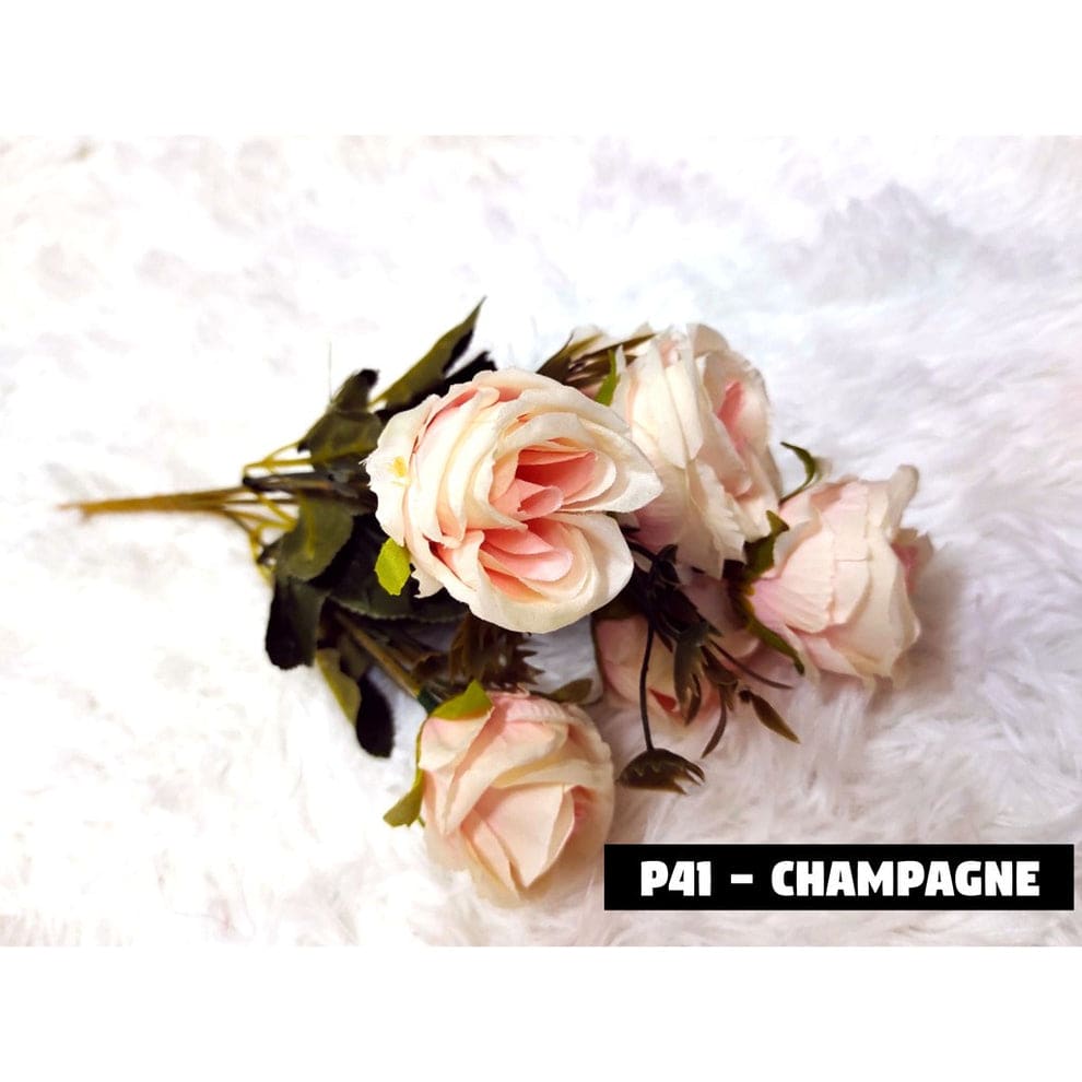 P41CHAMPAGNE