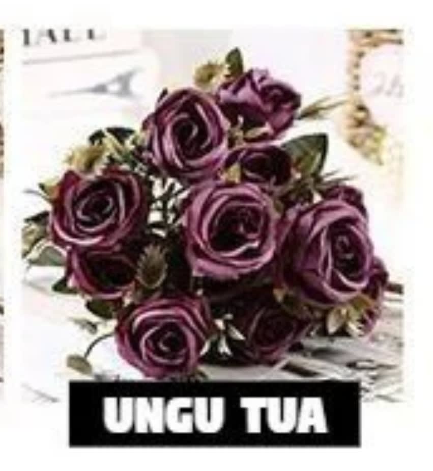 P41 UNGU TUA