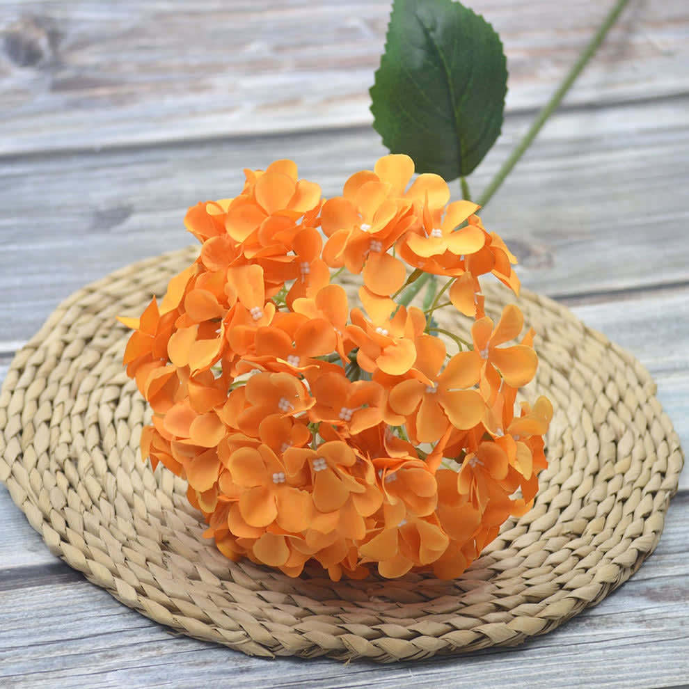 HORTENSIA OREN TERANG