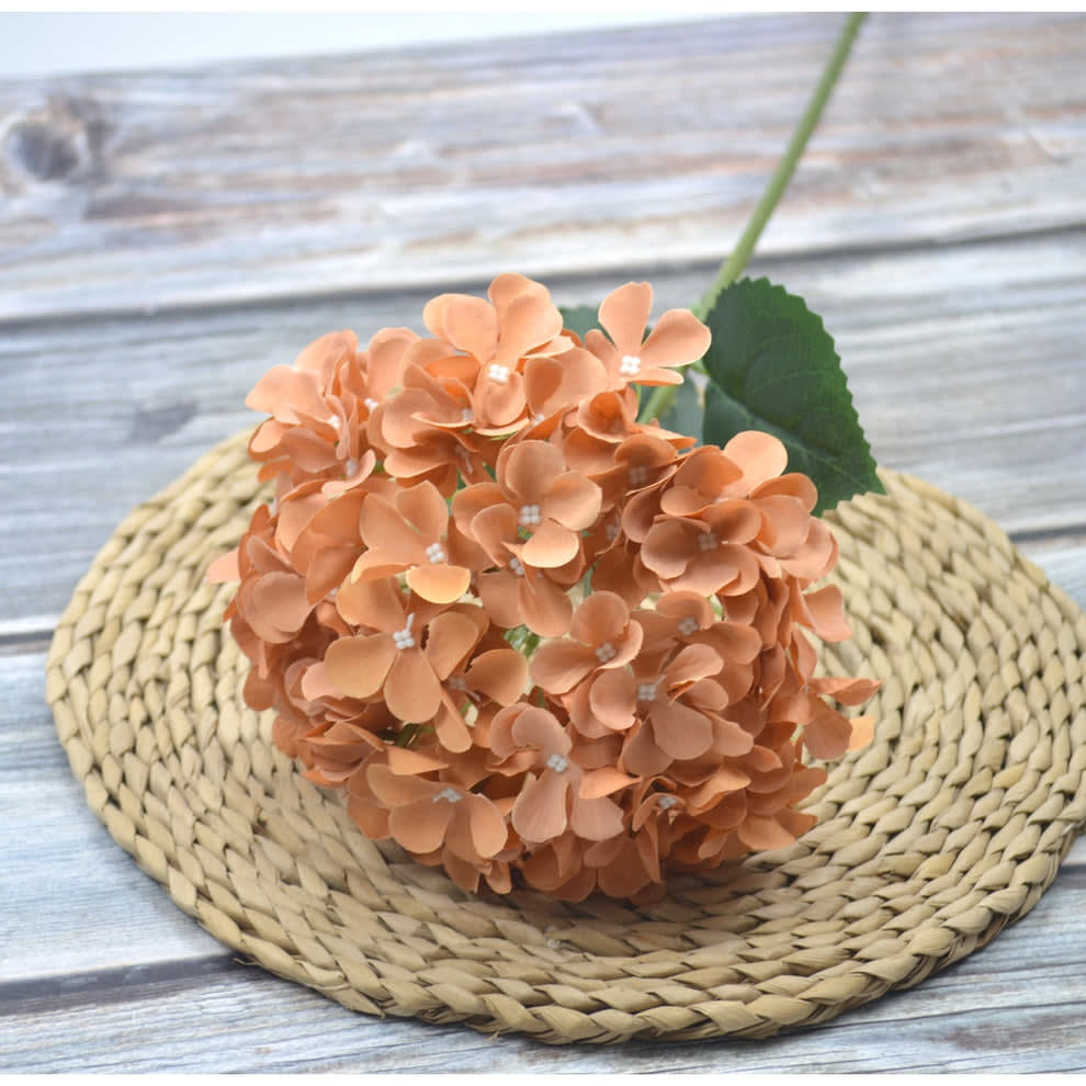 HORTENSIA OREN GELAP