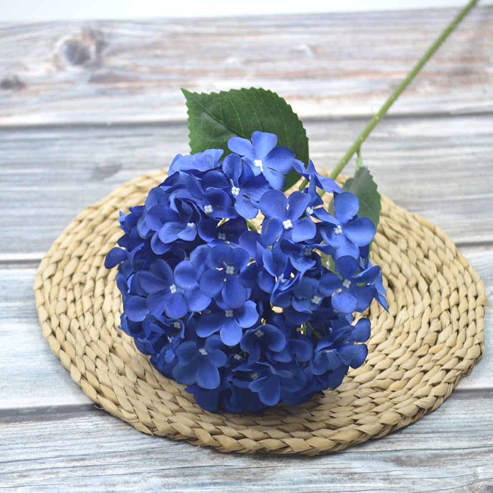 HORTENSIA NAVY