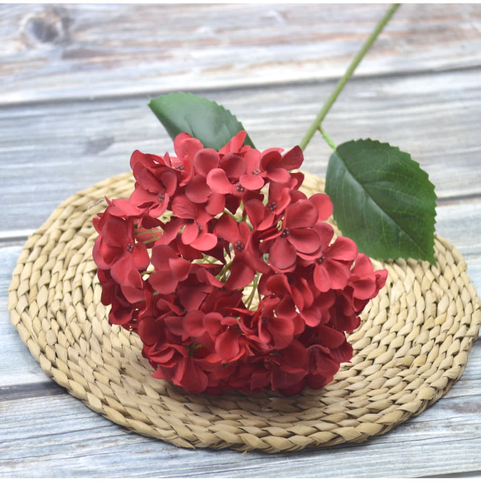 HORTENSIA MERAH
