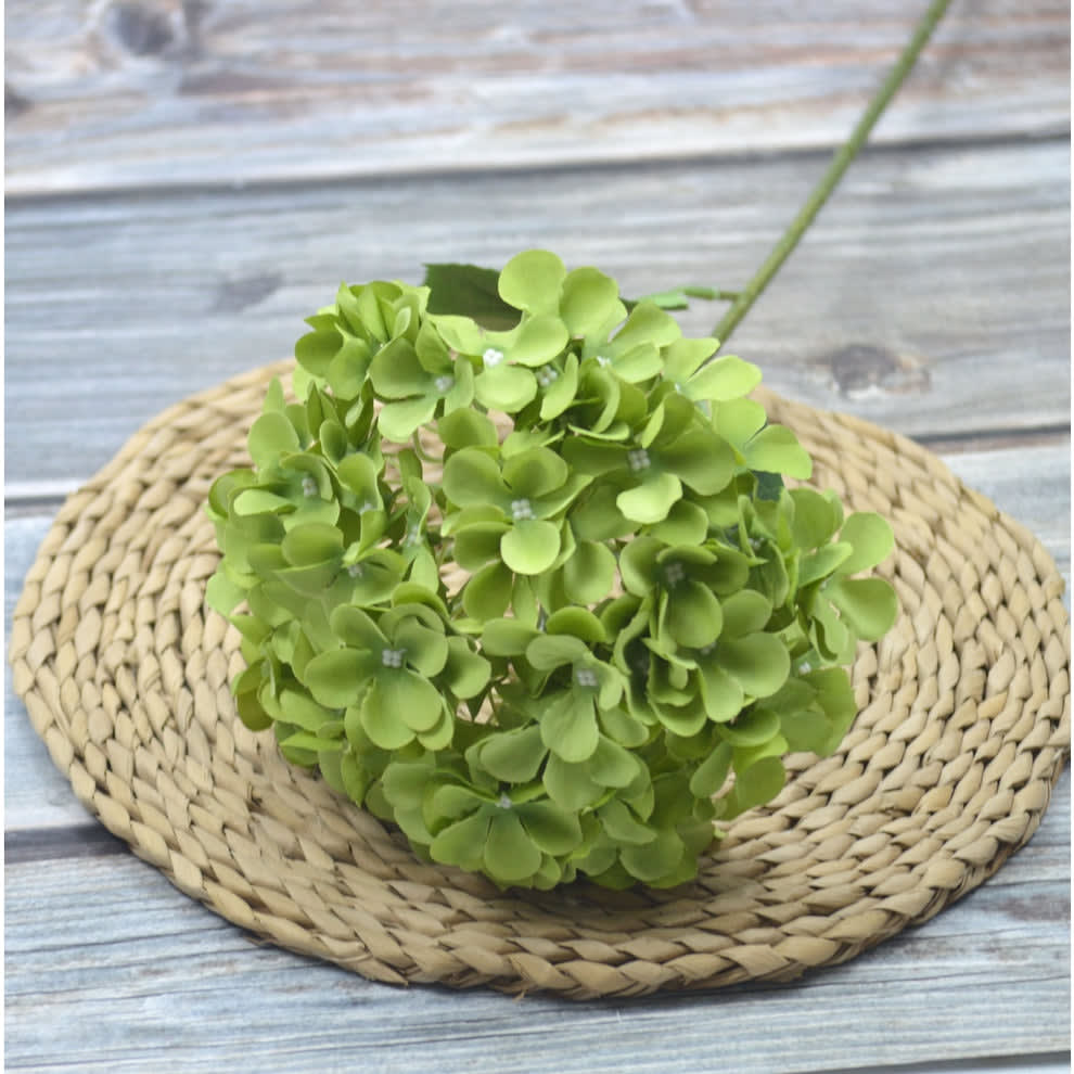 HORTENSIA HIJAU