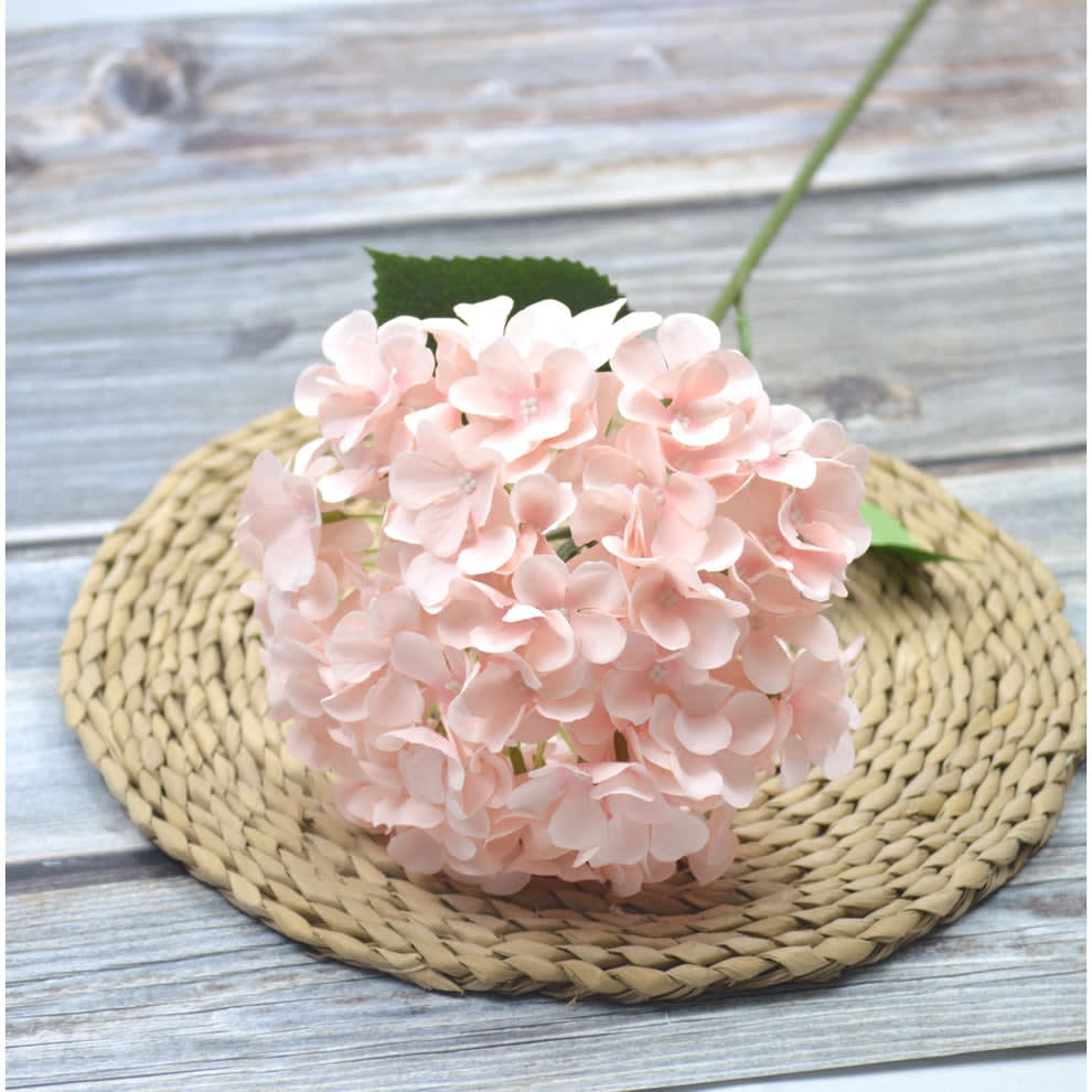 HORTENSIA SOFT