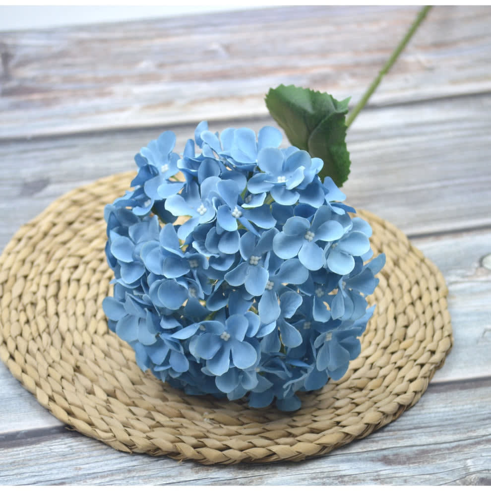 HORTENSIA BIRU GELAP