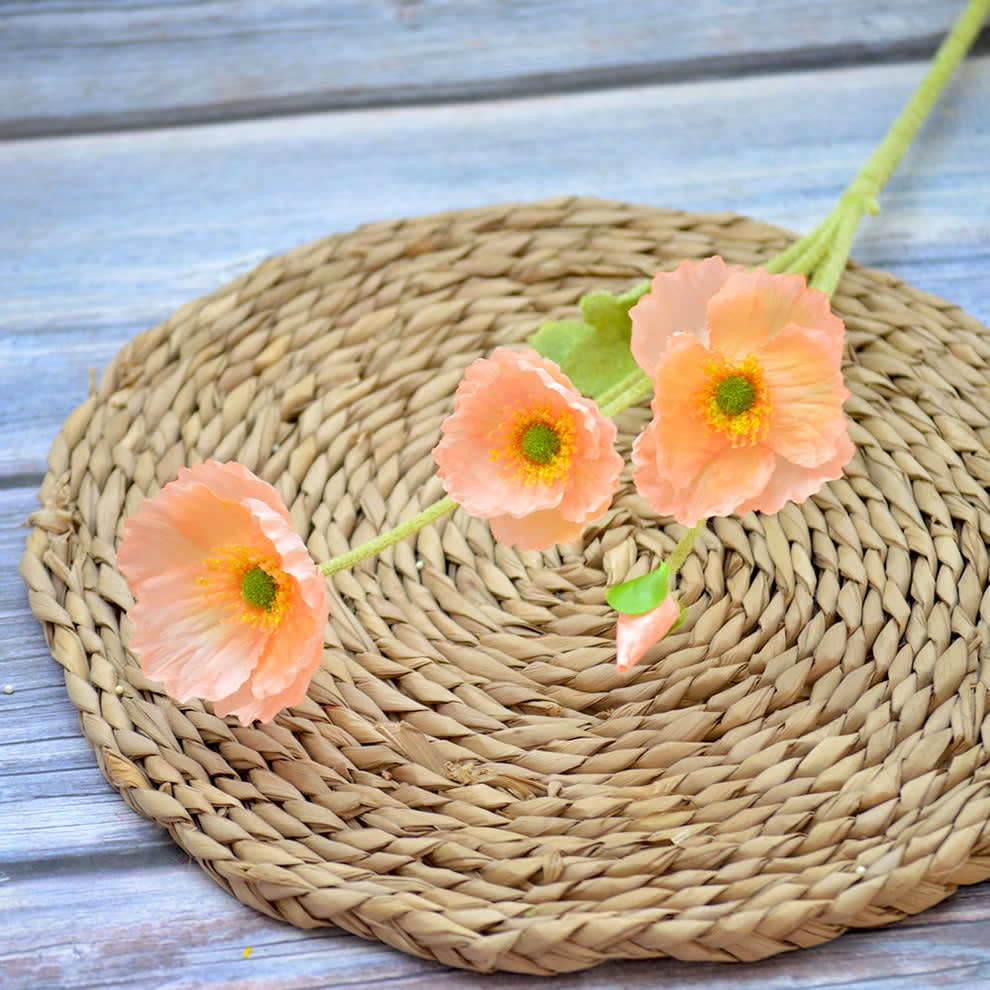 Poppy APRICOT