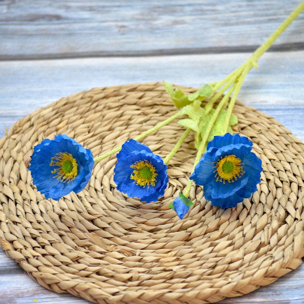 POPPY NAVY