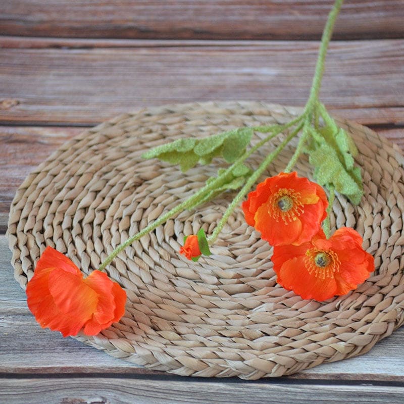 POPPY OREN