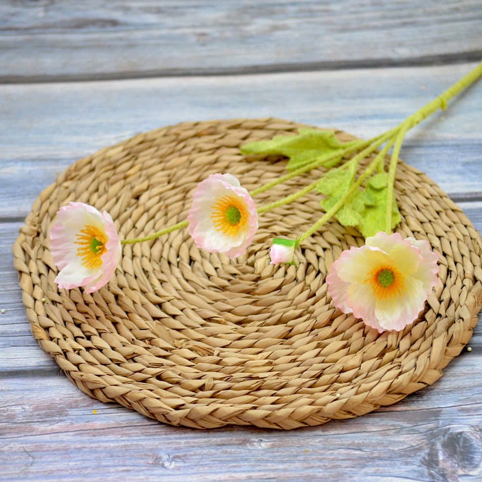 POPPY SOFT
