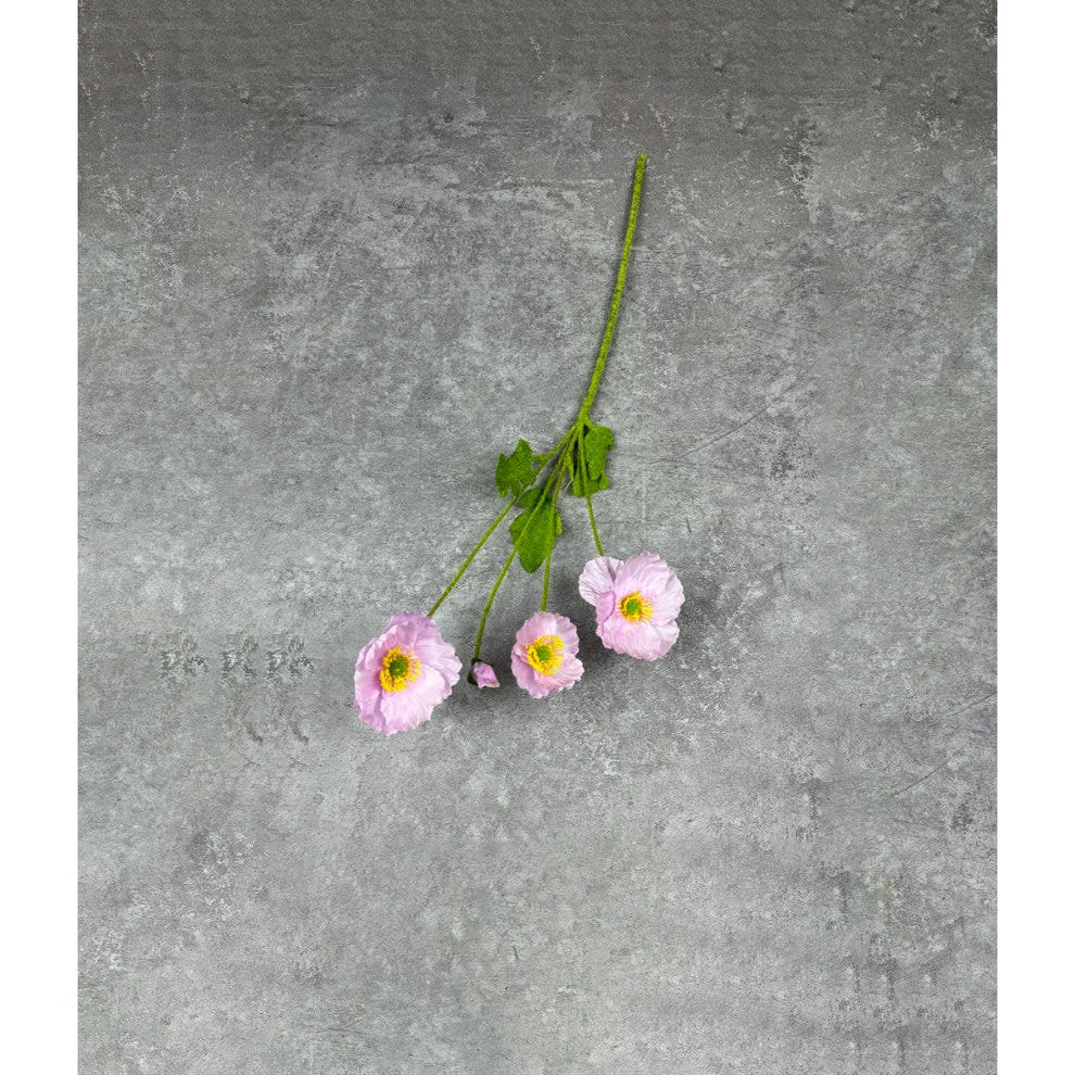 POPPY UNGU