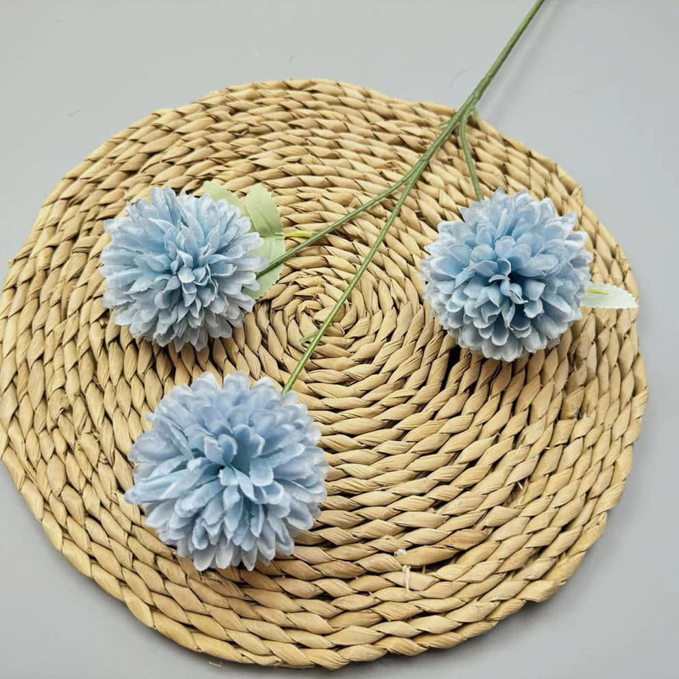 C08  BIRU TUA