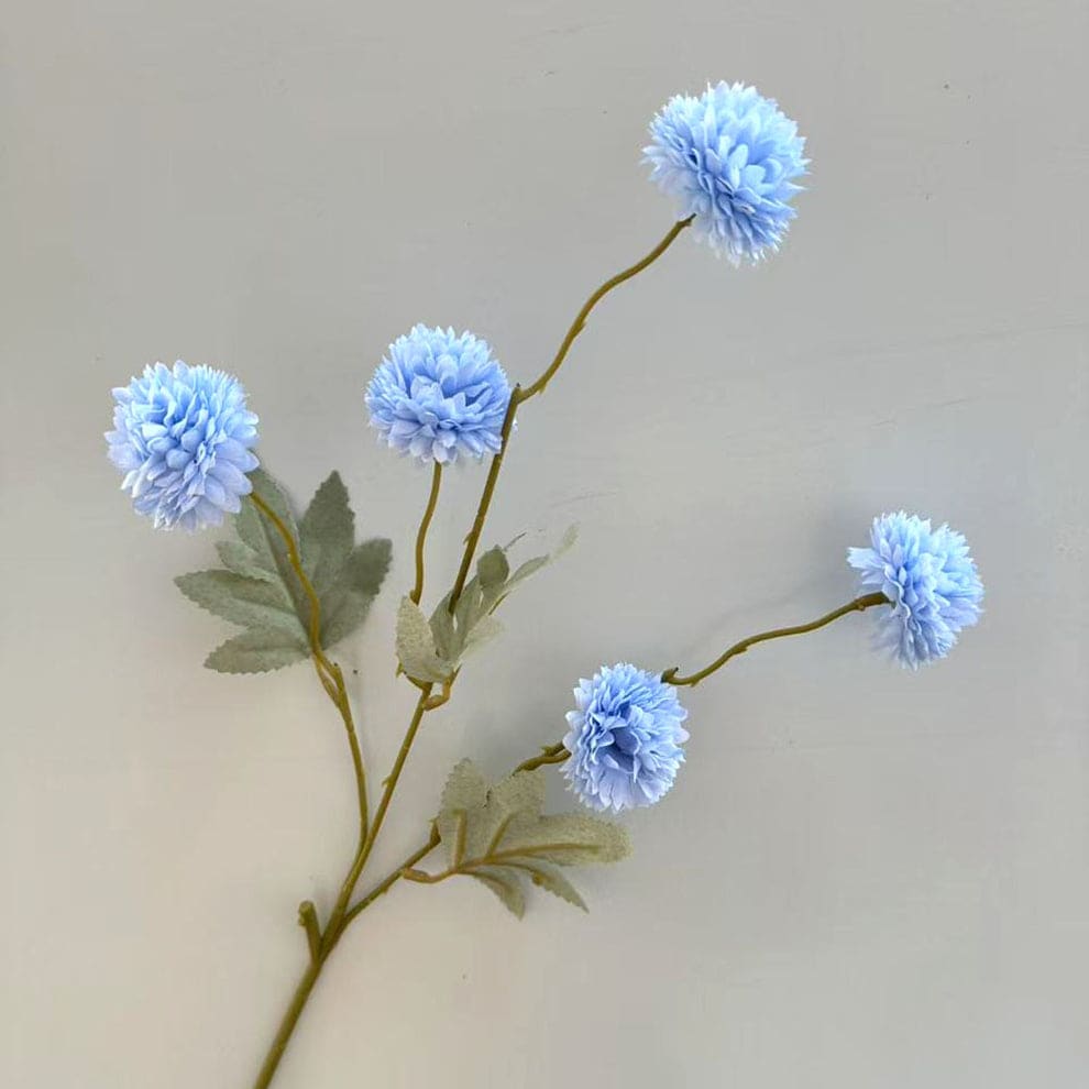 C25  BIRU MUDA