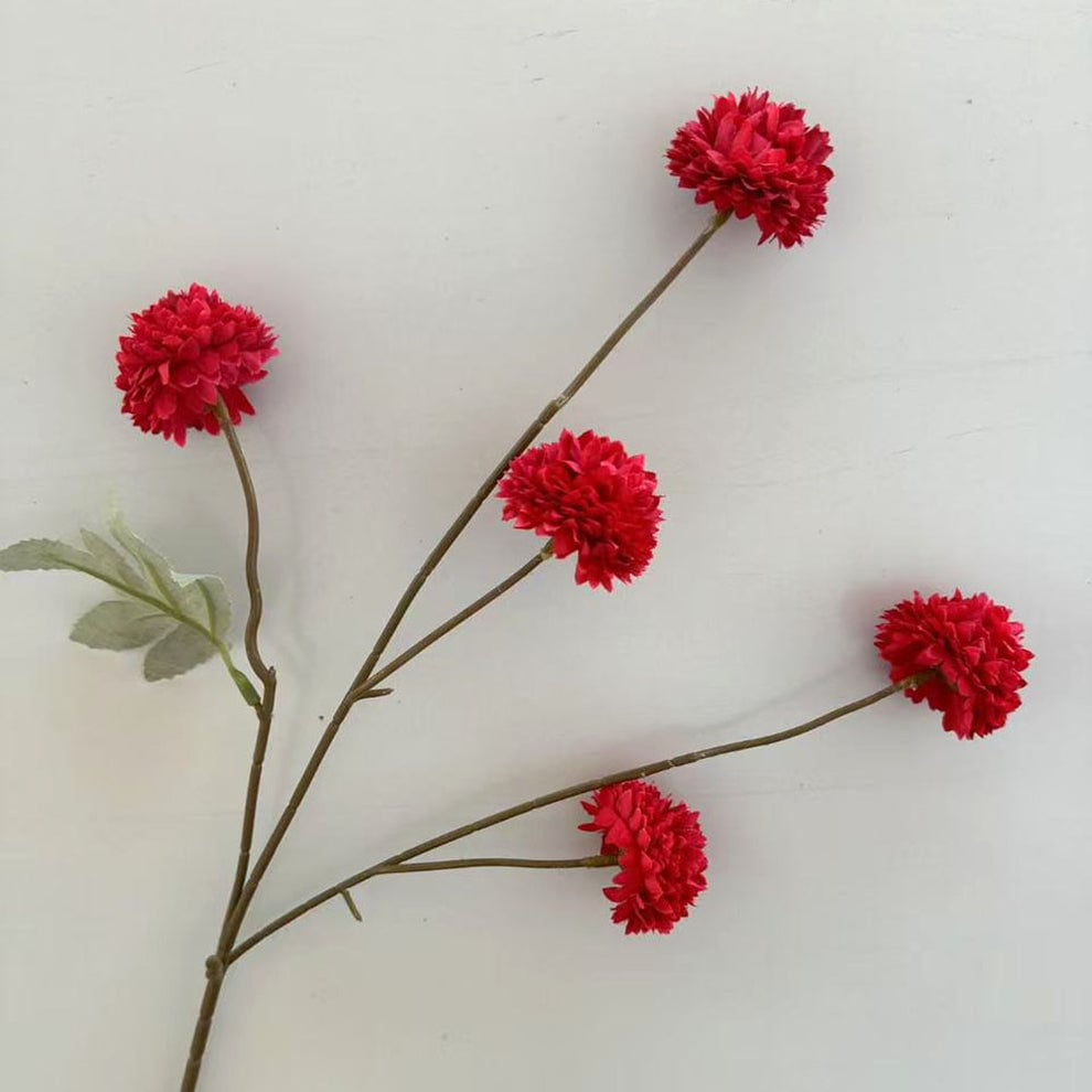 C25 MERAH