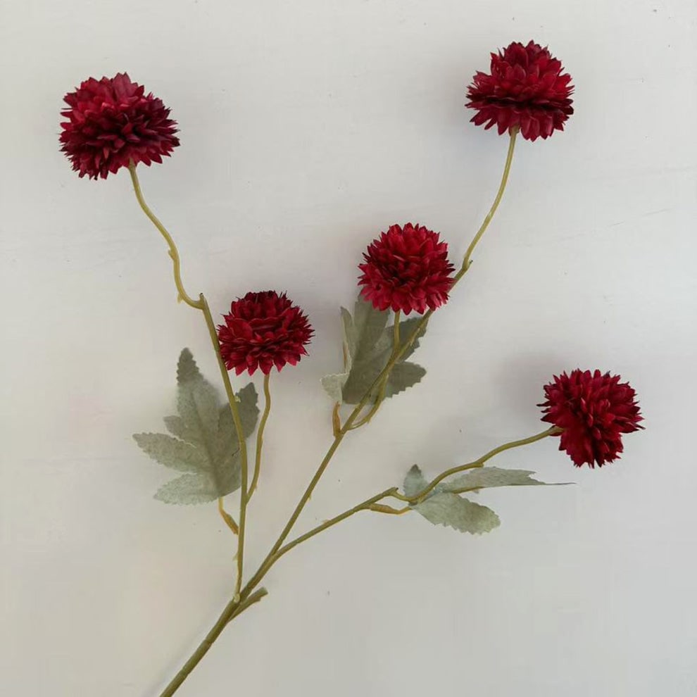 C25 MAROON