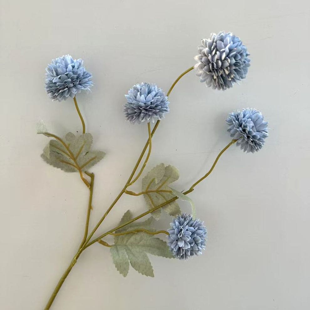 C25 BIRU TUA