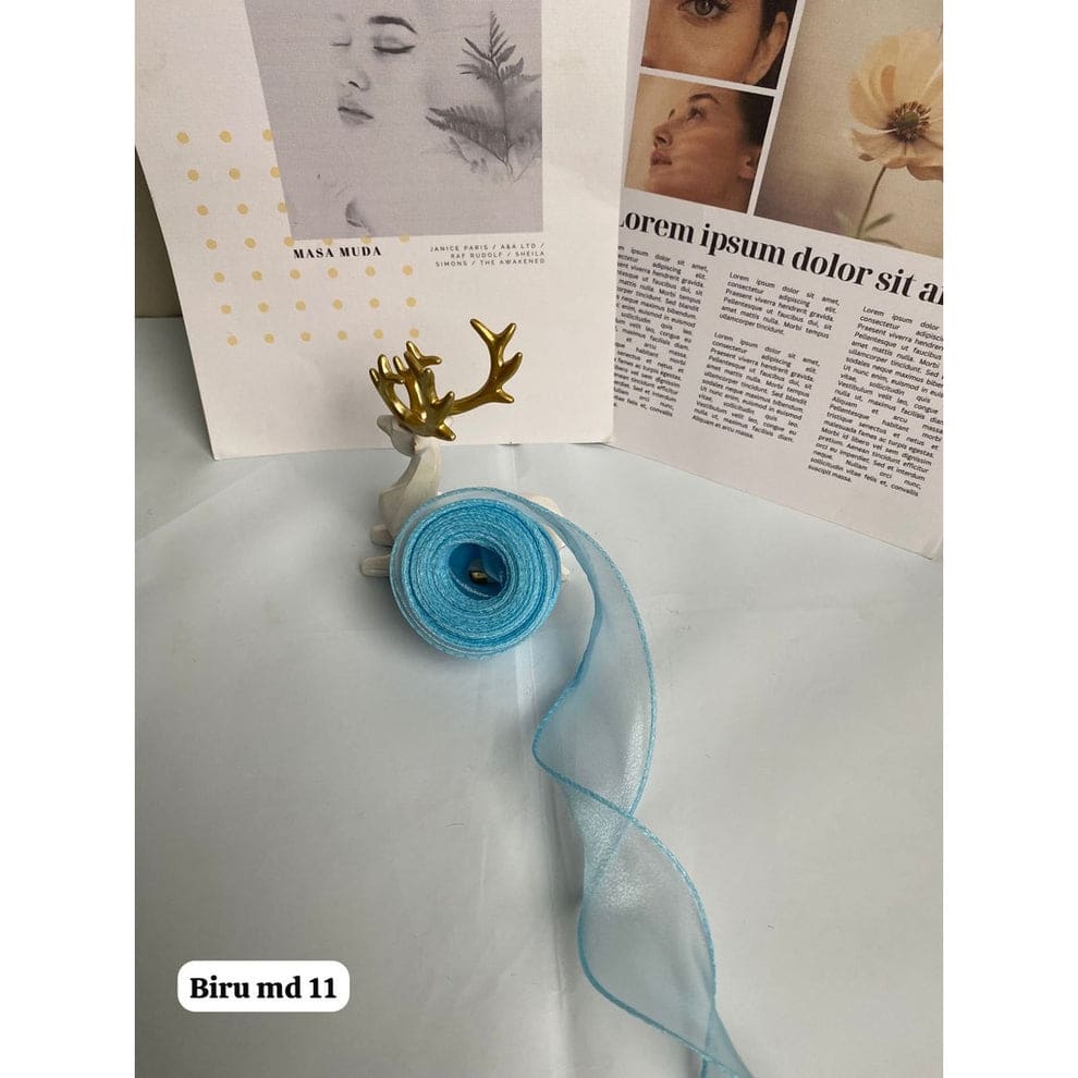 BIRU MUDA