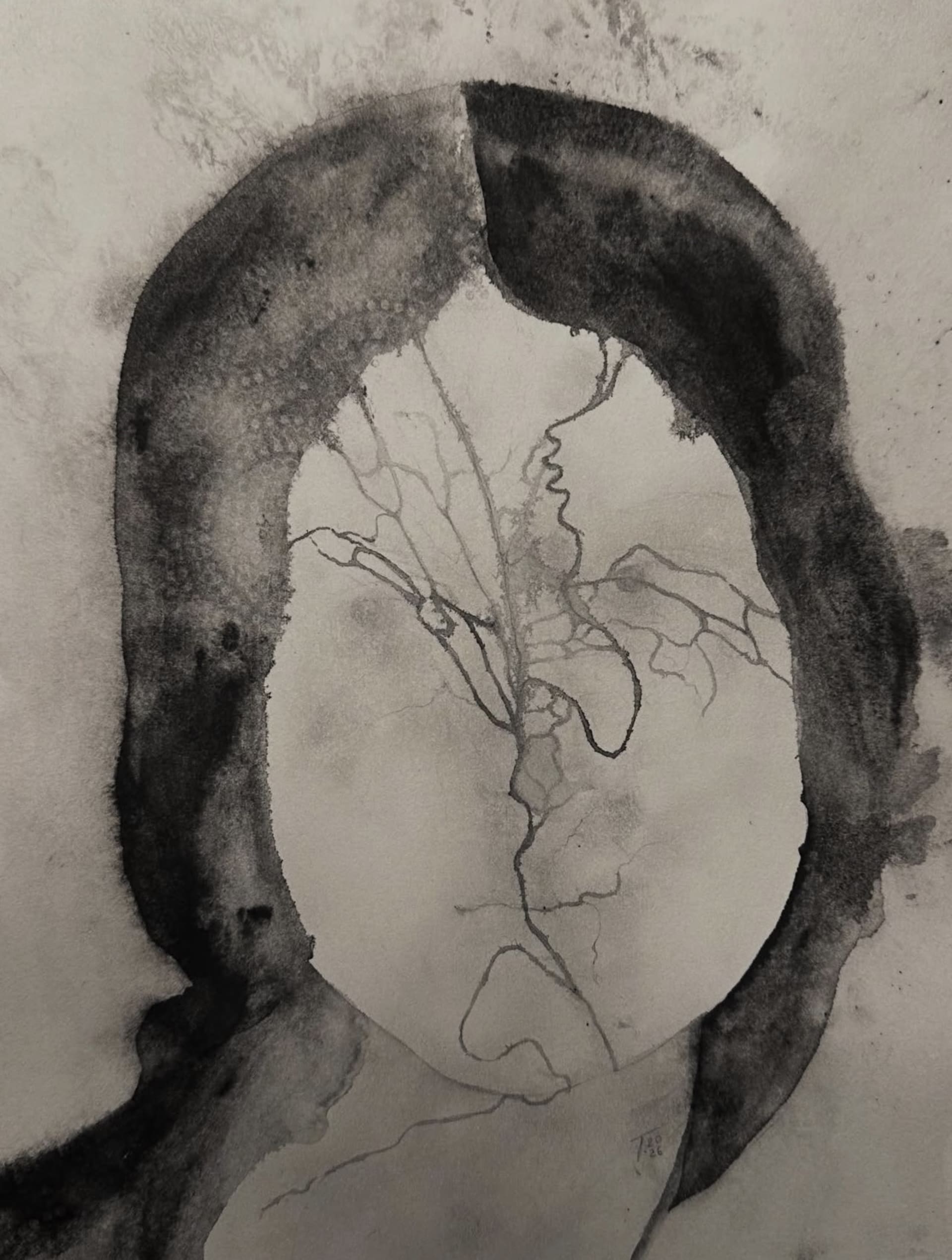 Self-portrait — ink drawing by Vera Nulla