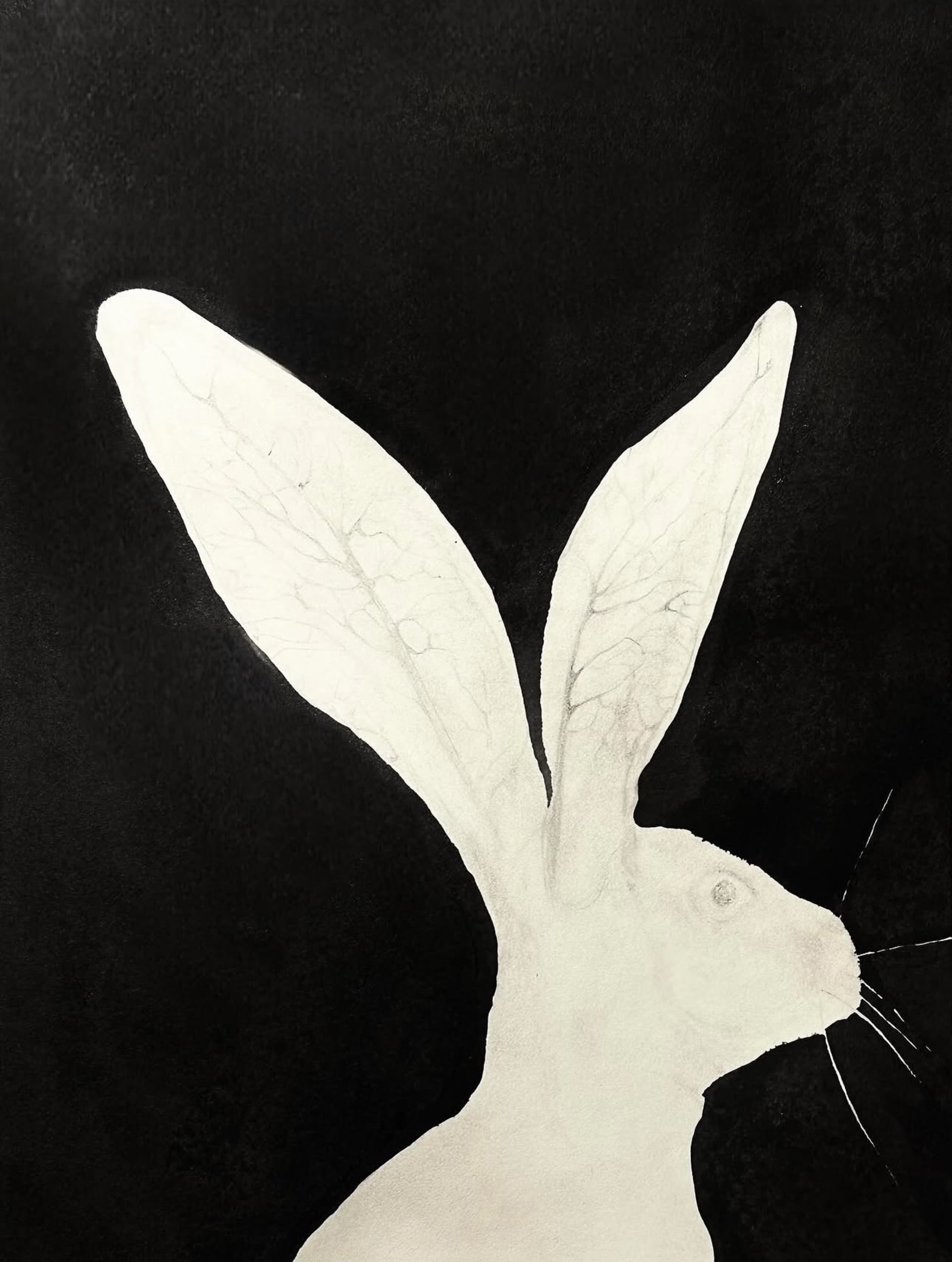 The Veins and the Rabbit — ink drawing by Vera Nulla