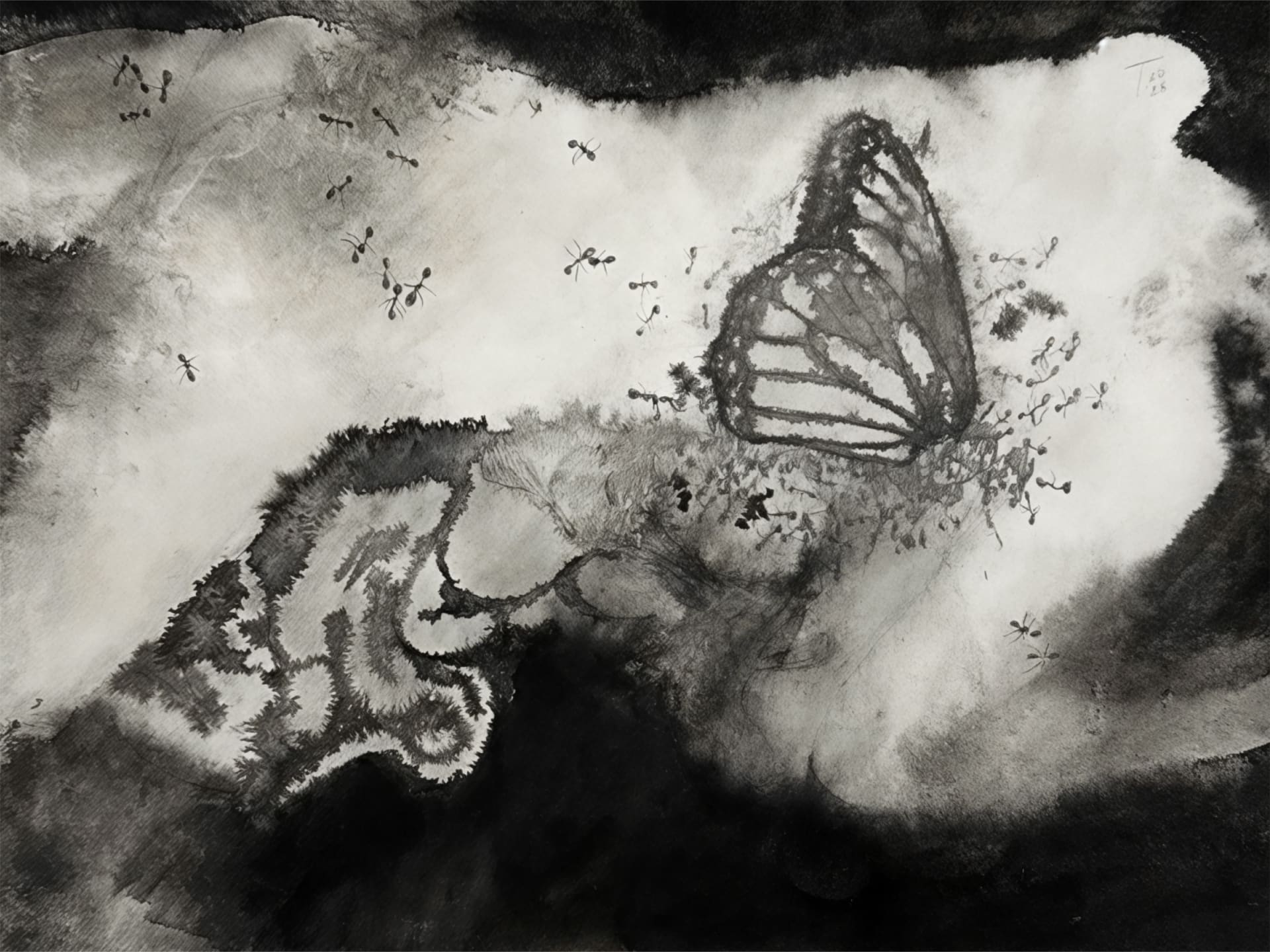 Nectar — ink drawing by Vera Nulla