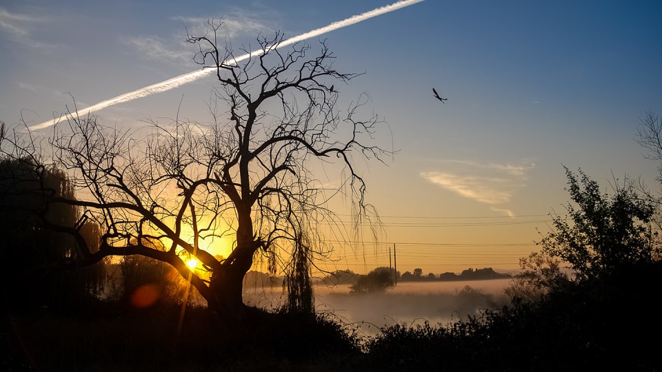 Dawn in Canberra, Australia