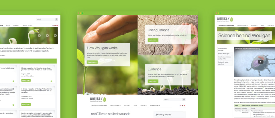 Woulgan website browser shots