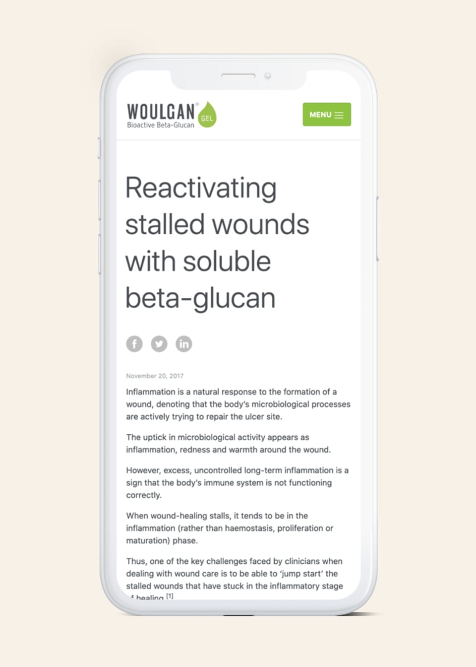 Woulgan website on mobile device