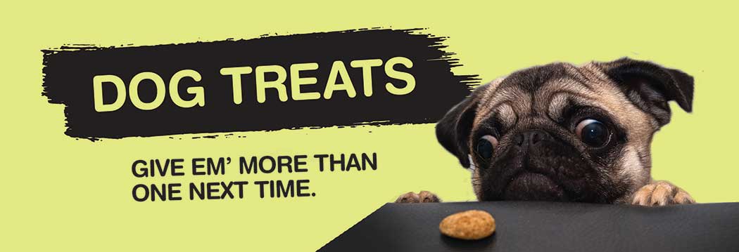 rural king small dog cage