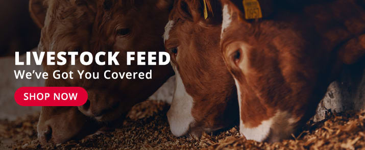 Livestock Feed