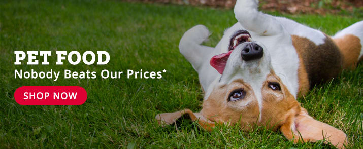 Rural King America S Farm And Home Rural King America S Farm And Home, Rural King Small Dog Beds