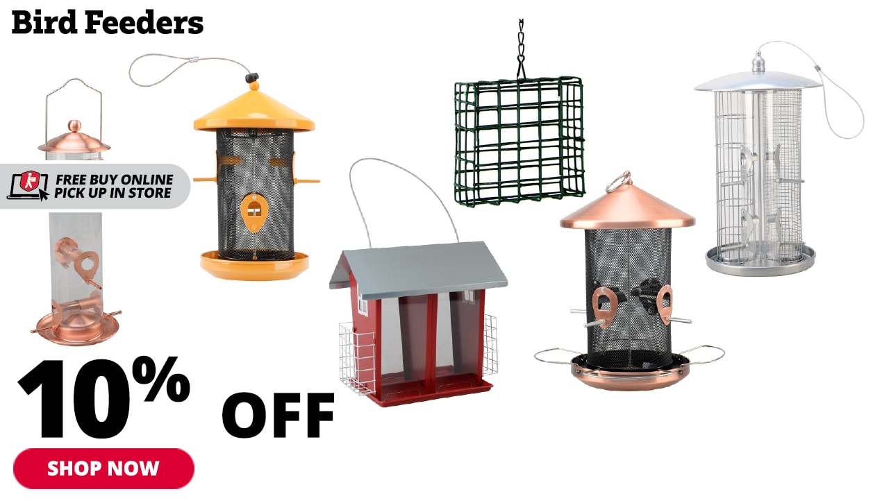 10% Off Bird Feeders