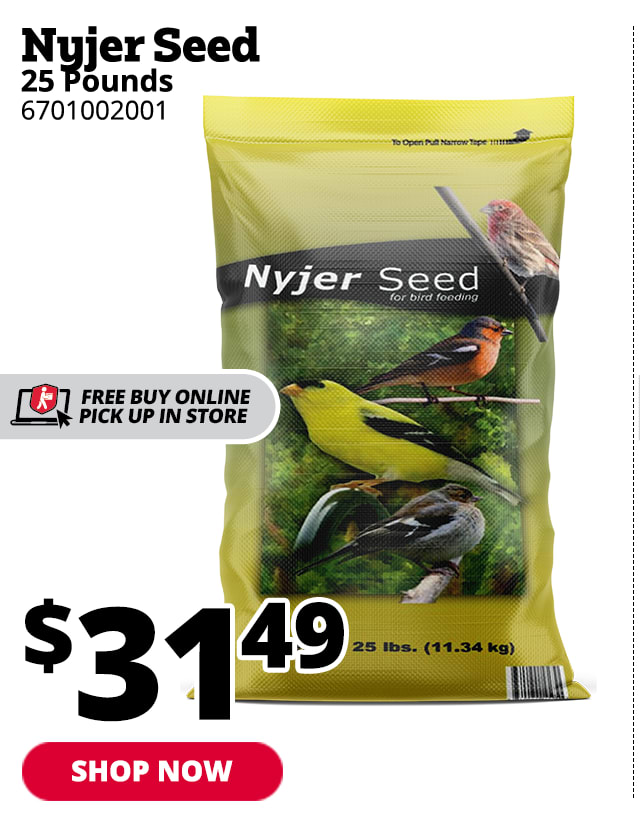 Nyjer Seed, 25 lb. Bag