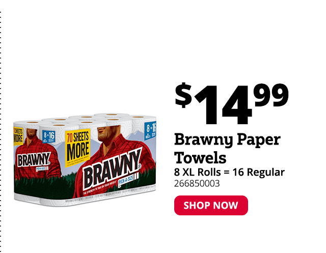 Brawny Paper Towels