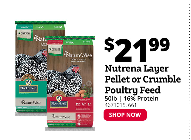 Nutrena Layer Pellet or Crumble Poultry Feed