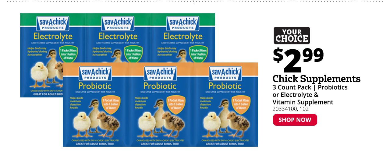 Sav-A-Chick 3 Pack Supplements