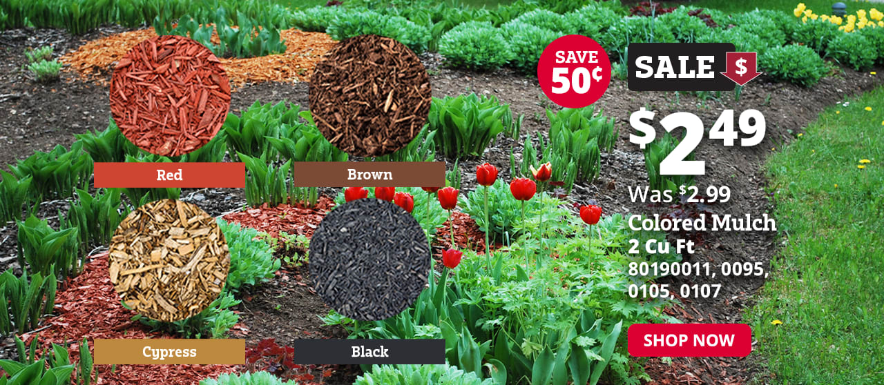 The Backyard Is Heating Up With Savings! Rural King