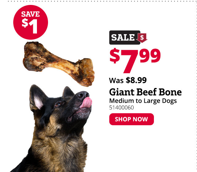 Butchers Block Jum-Bone Giant Beef Femur Bone for Medium to Large Dogs