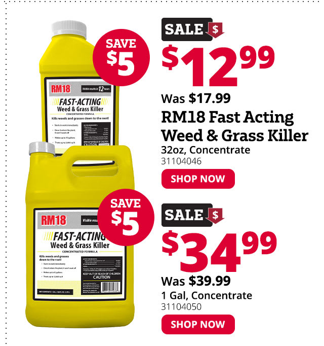 Our New Flyer Is Here + A Little Extra You Won't Want To Miss These