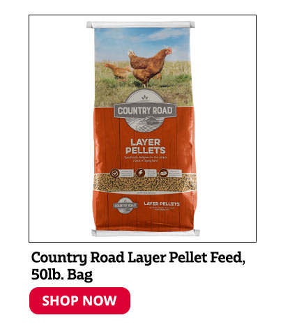 Country Road Layer Pellet Feed, 50 lb. Bag