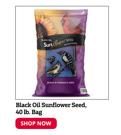 Black Oil Sunflower Seeds, 40 lb. Bag