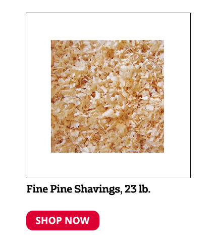 Fine Pine Shavings, 23 lb.
