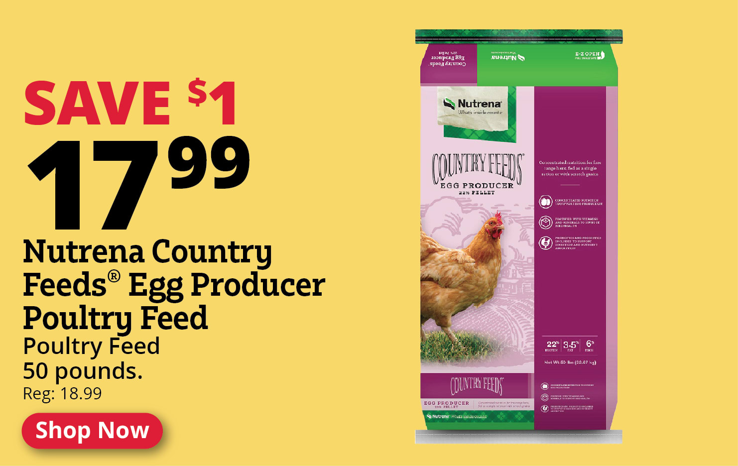 Nutrena Country Feeds® Egg Producer Poultry Feed, 50 lb. Bag