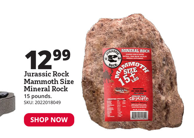 Do-All Outdoors Jurassic Rock Mammoth Size Mineral Rock, 15 lb. - JR12