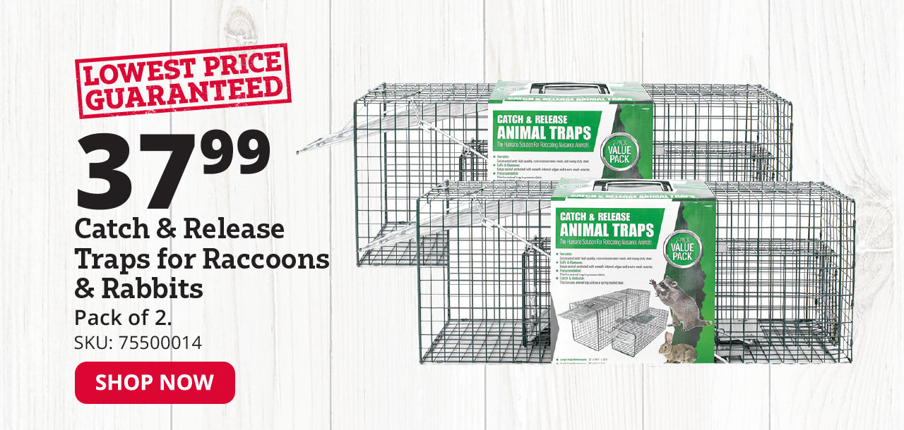 Catch & Release Traps for Raccoons and Rabbits, 2 Pack - 87-678-0204