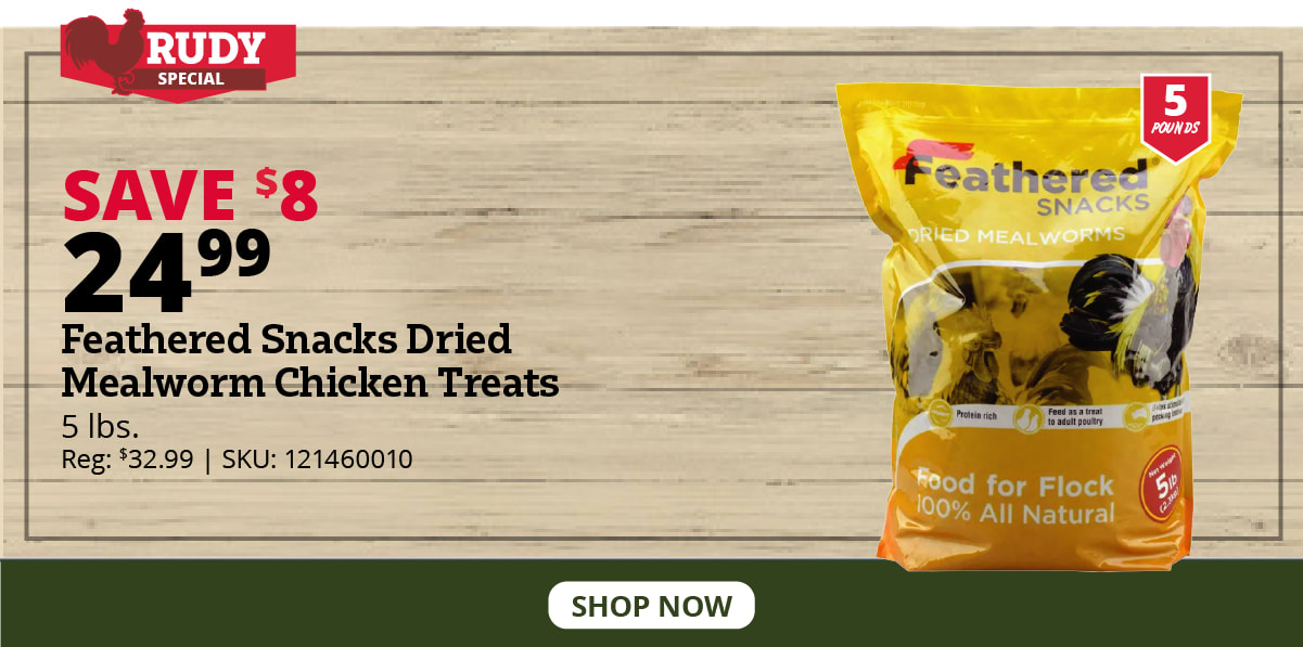 Feathered Snacks Dried Mealworm Chicken Treats, 5 lb. Bag