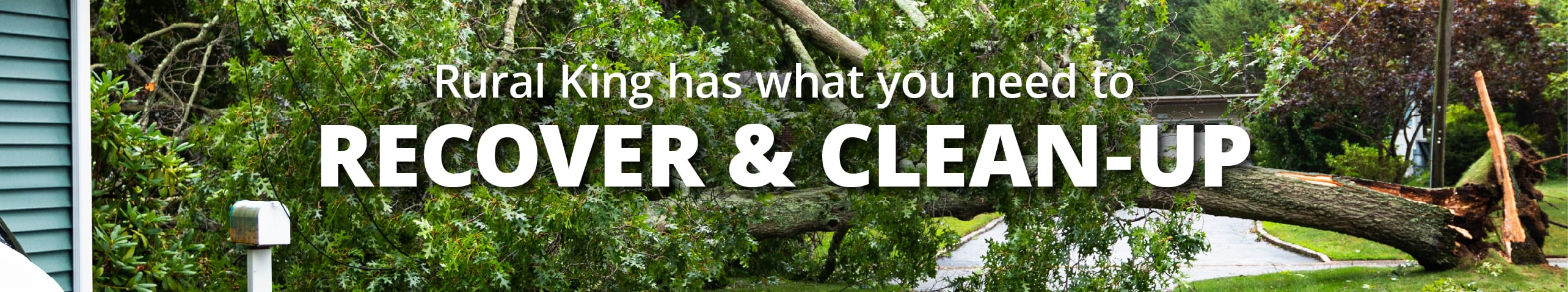 Weather Cleanup Banner