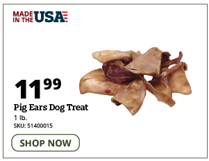 Pig Ears